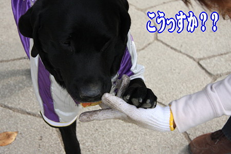 こう?