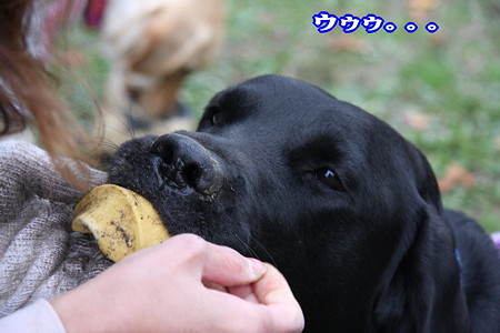 ううう