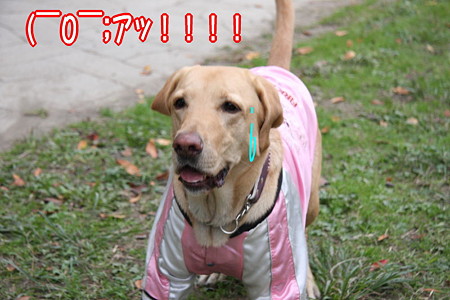 ( ̄0 ̄;アッ!!