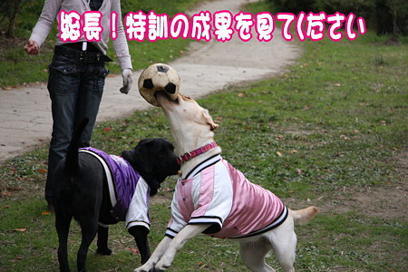 キャッチ特訓