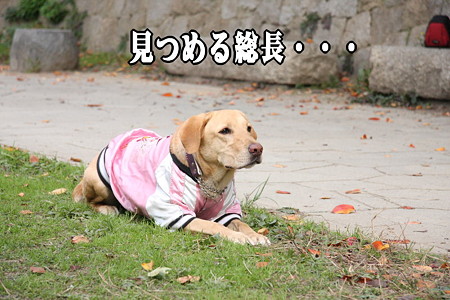コーチの目