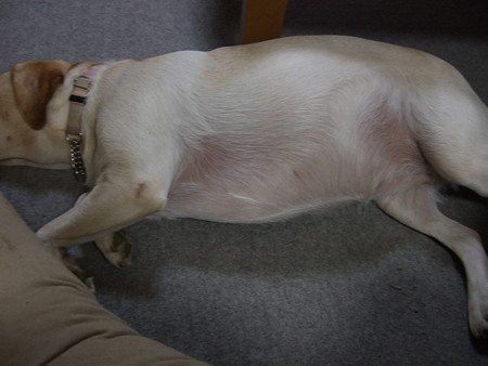 パンパン