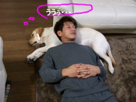その訳は・・