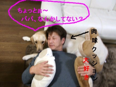 肉球クッションお気に入り