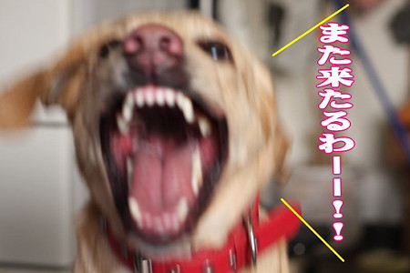 またきたるわ