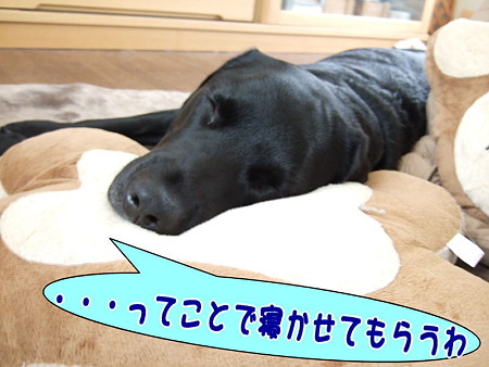 もう、寝るわ