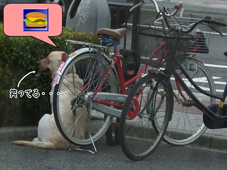 たくらみ