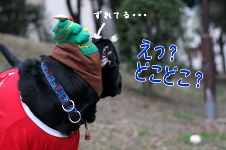 どこ
