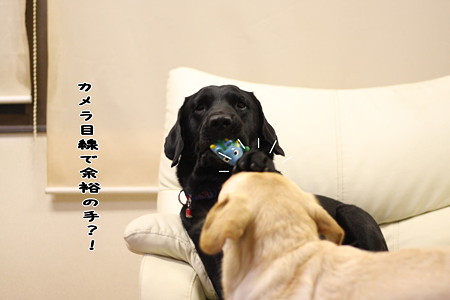 余裕?!