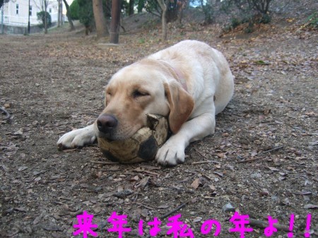 来年も炸裂!