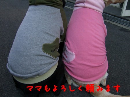 よろしく