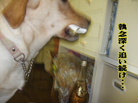 追い続け