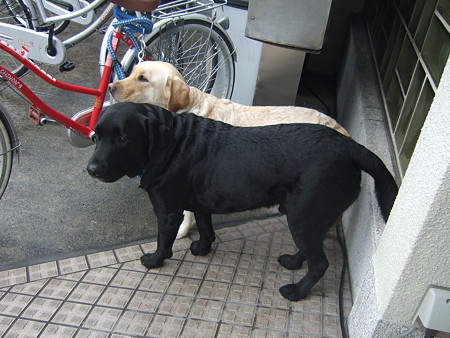 チョット待っててな(病院前)