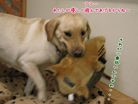 やっぱりこの人が