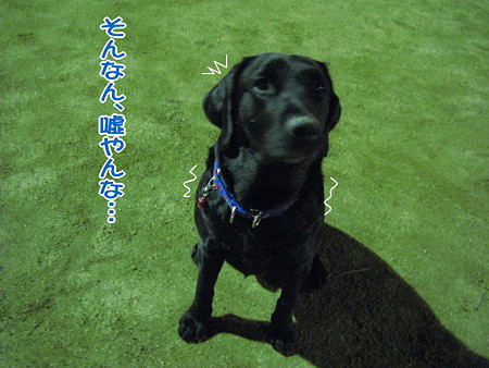 心霊1