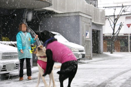 危ないわねー