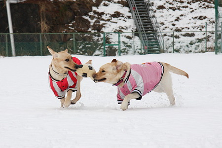 2人で運ぶ3