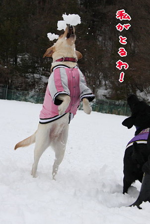 わたしが