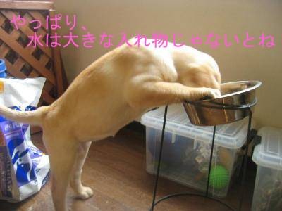 背伸び~~