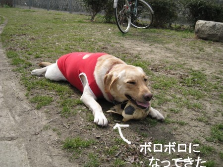 ボロボロ・・・