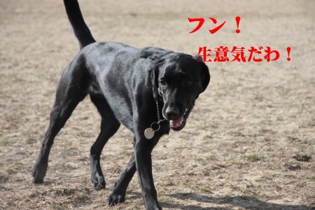 スレンダークズル