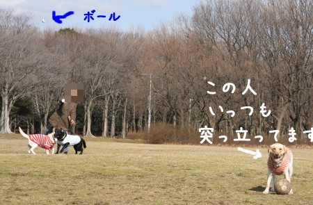 投げるよ~~!