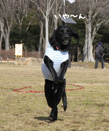 イヤン?!