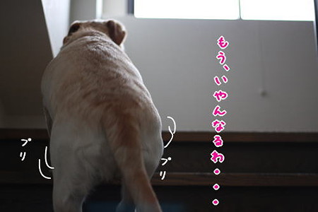 階段3