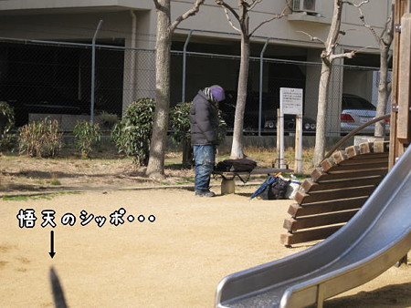 公園10