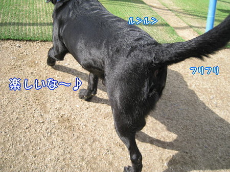 公園12