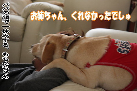 一休み?!