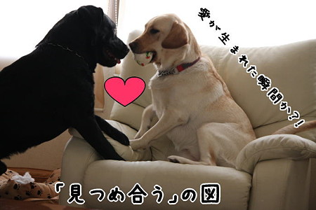 愛が生まれた?!