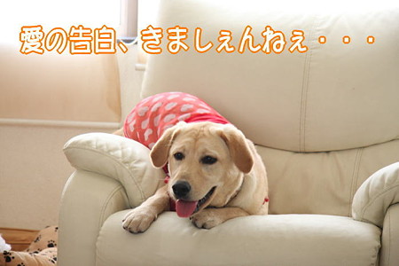 待ちぼうけ