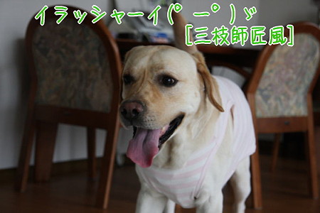 いらっしゃい