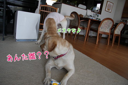 誰?
