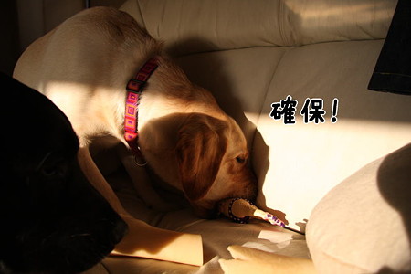 確保