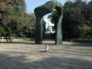 2009_0304いちごのベット0028