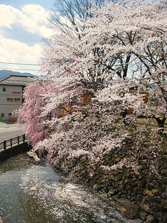 2009年4月16日