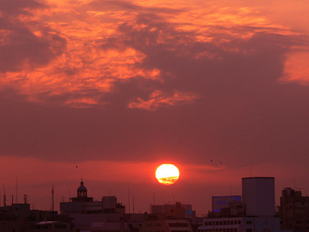 今日の夕陽1103ta