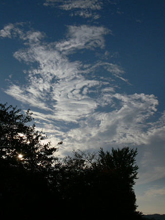 秋の空1104ta