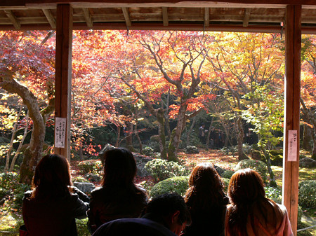 円光寺紅葉1125te