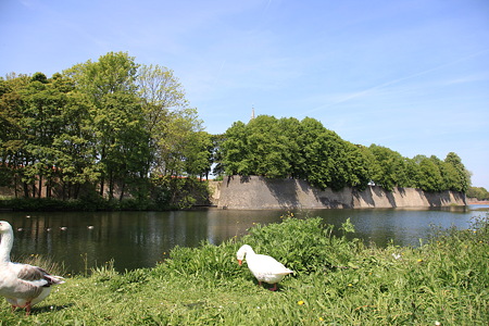 DPP_0912