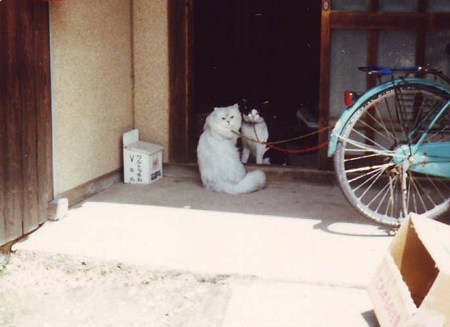 Image0163 - Copy