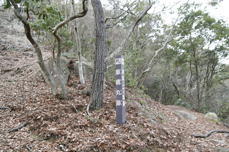 白旗城 - 03