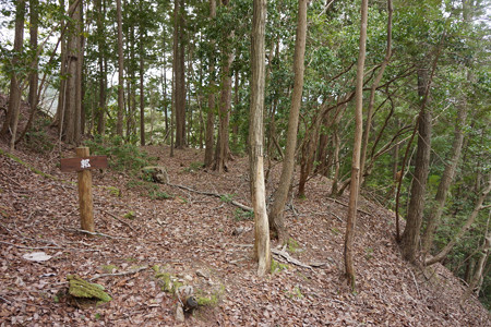 淀山城 - 14