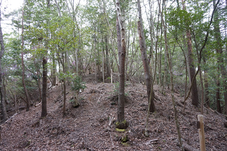 東山城 - 09
