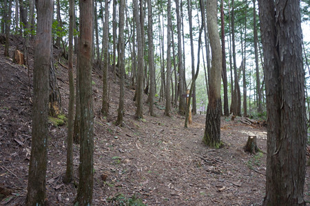 南山城 - 11