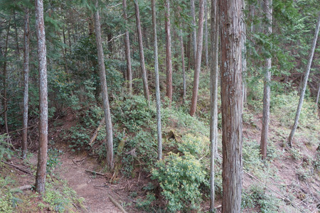 塩田城 - 06