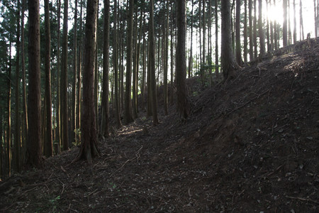 山家城〔甲ヶ峯城・左衛門屋敷〕 - 14
