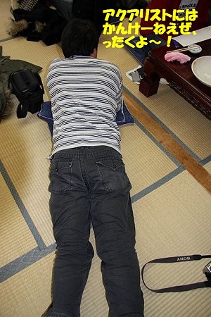 IMG518-1